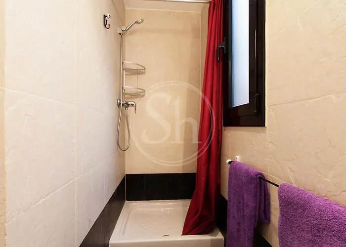 Terrace Apartment With Direct View To Sagrada Familia